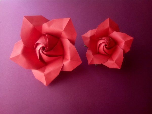 Blooming rose de Naomiki Sato