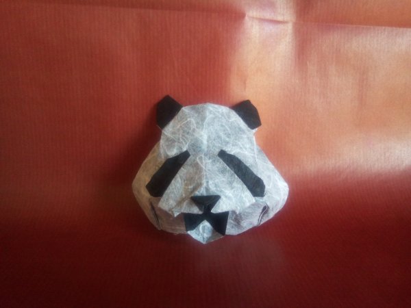 Cabeza de Panda de Kota Imai