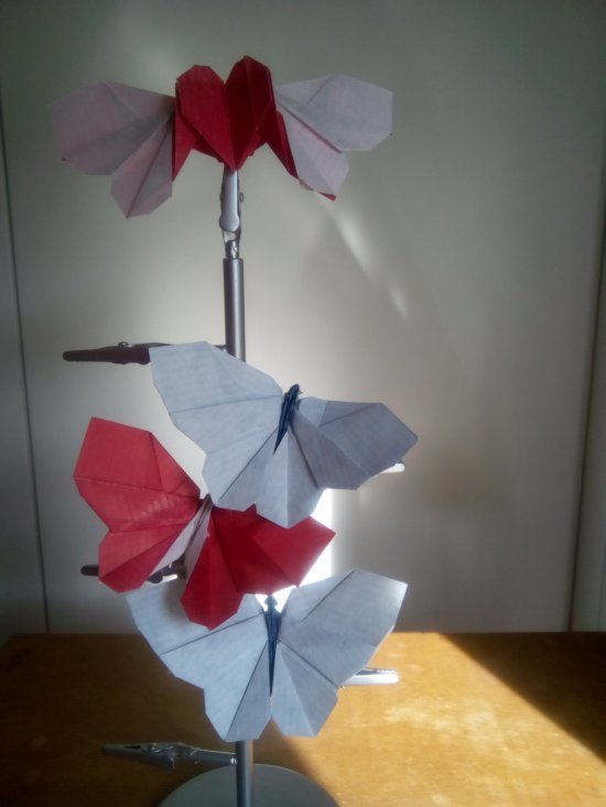 Mariposa con sorpresa de Chiang Jie